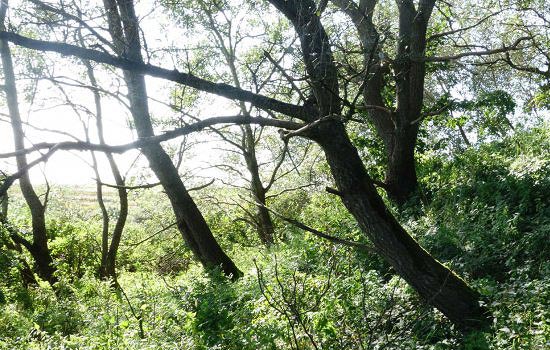 /versions/ohz/assets/DSC07866s_small